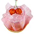 img_satonishiki_dolce_news.png