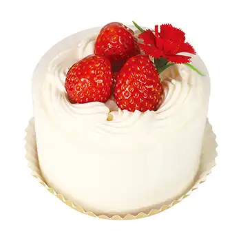 母の日たっぷり苺ケーキ