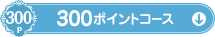 300ポイントコース