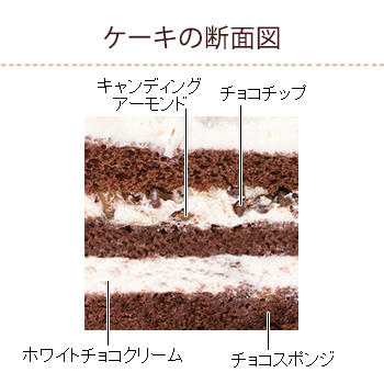 クリスマスホワイトチョコ生ケーキ S M チョコレートケーキ クリスマス ケーキ 洋菓子 株式会社不二家 クリスマスホワイトチョコ生ケーキ S M チョコレートケーキ クリスマス ケーキ 洋菓子 株式会社不二家