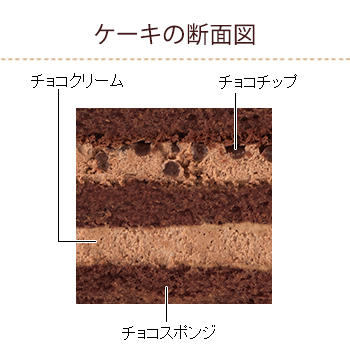 チョコ生ケーキ 小物 洋菓子 ケーキ 洋菓子 株式会社不二家