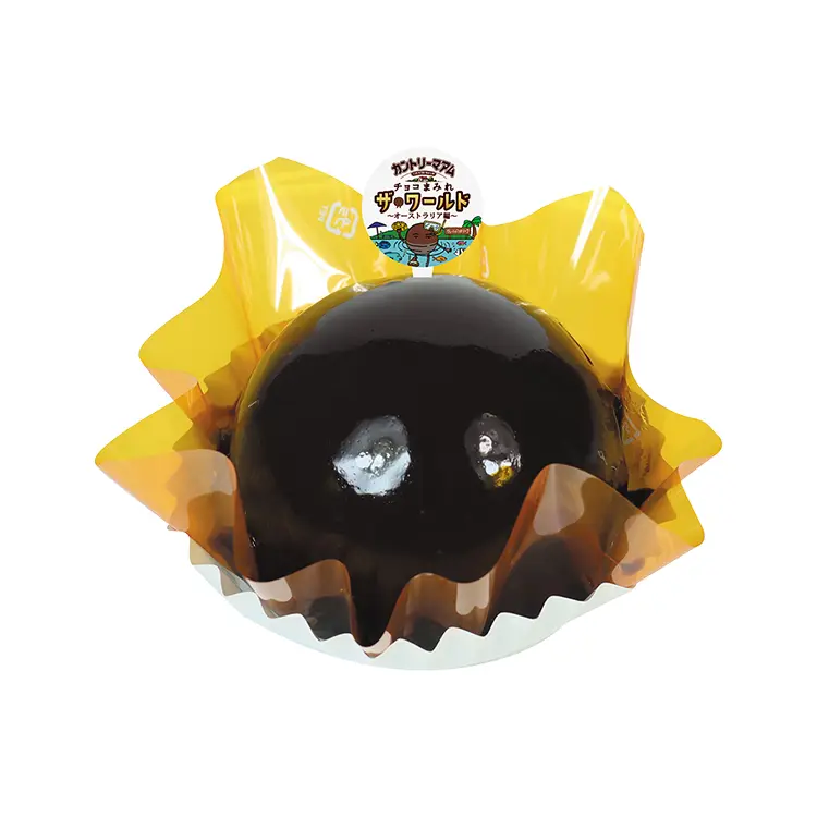 チョコまみれザ・ワールドケーキ（アルフォンソマンゴー）