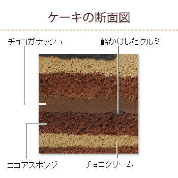 プレミアムチョコ生ケーキ カットケーキ 洋菓子 ケーキ 洋菓子 株式会社不二家