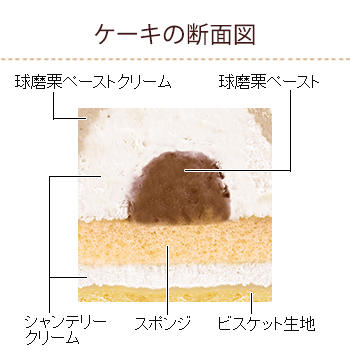 プレミアムモンブラン 熊本県産球磨栗 カットケーキ 洋菓子 ケーキ 洋菓子 株式会社不二家