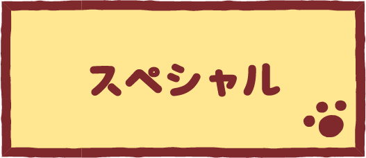 スペシャル