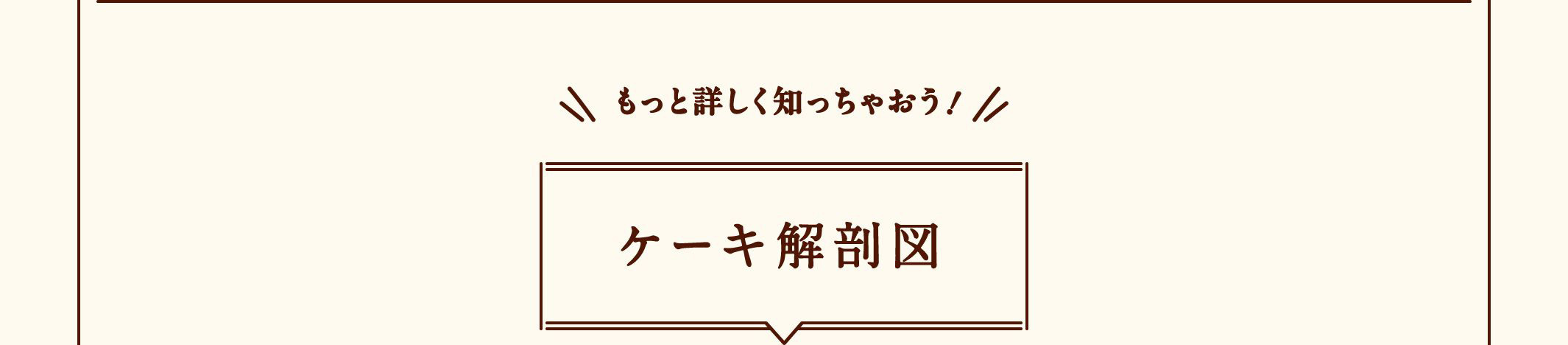 もっと詳しく知っちゃおう！ ケーキ解剖図