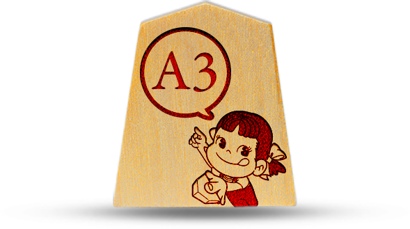 A3