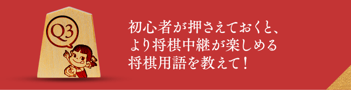 Q3 初心者が押さえておくと、より将棋中継が楽しめる将棋用語を教えて！