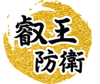 叡王防衛