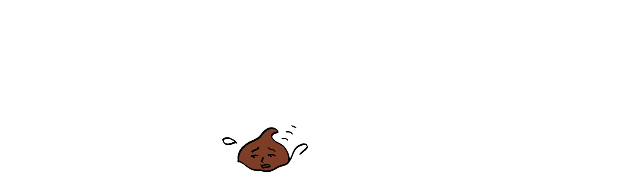 チョコチップ