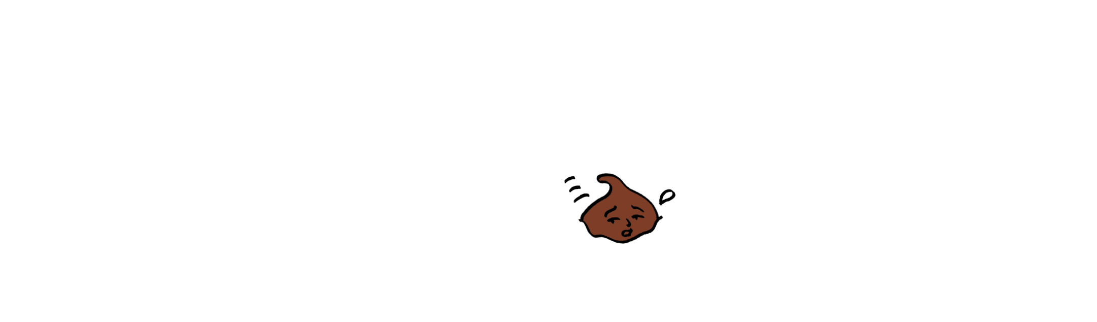 チョコチップ