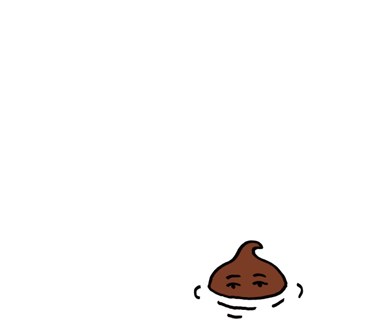 チョコチップ