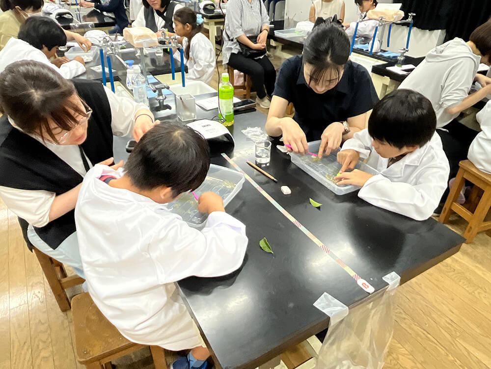 親子で協力しながら歯ブラシで葉肉を取ります