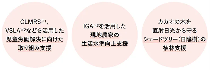 CLMRS※1、VSLA※2などを活用した、児童労働解決に向けた取り組み支援・IGA※3を活用した現地農家の生活水準向上支援・カカオの木を直射日光から守るシェードツリー（日陰樹）の植林支援