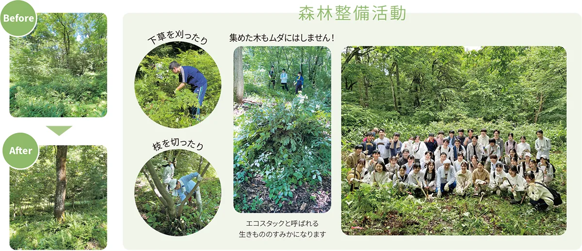森林整備活動