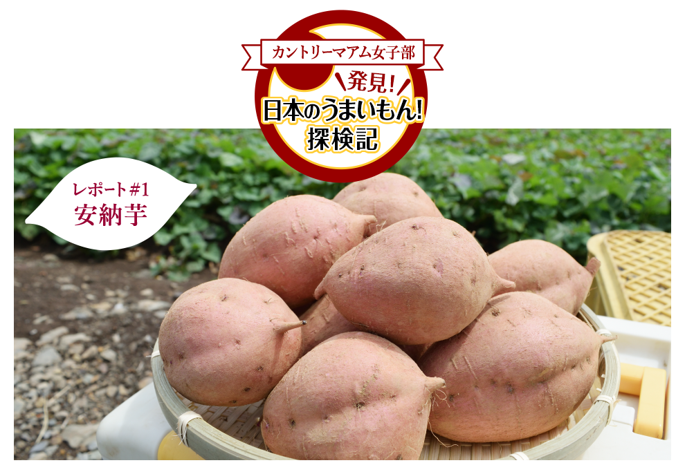 カントリーマアム女子部 発見！ 日本のうまいもん！探検記 レポート#1 安納芋