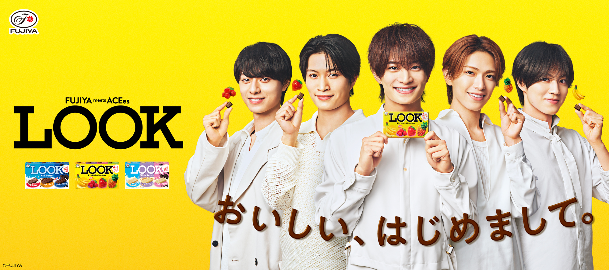 FUJIYA meets ACEes LOOK おいしい、はじめまして